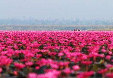 5 điểm du lịch nhuộm sắc hồng trên khắp thế giới
