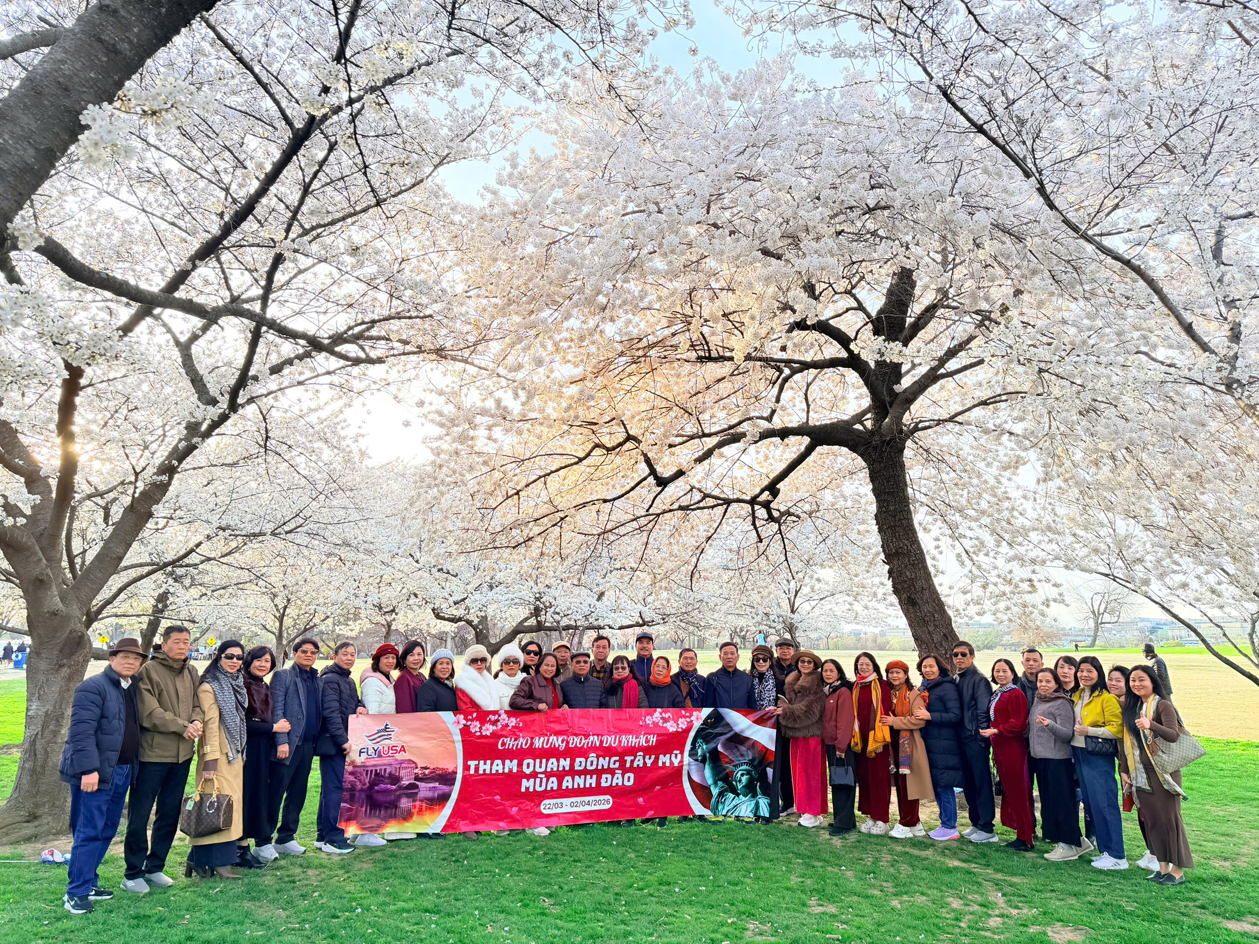 LẠC BƯỚC GIỮA MÙA HOA ANH ĐÀO NƯỚC MỸ
