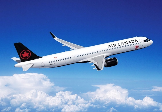Tất Tần Tật Về Hành Lý Xách Tay Air Canada: Bay Thật Gọn Gàng Cùng Đại Lý  Vé Máy Bay Vlink! – Vlink.vn